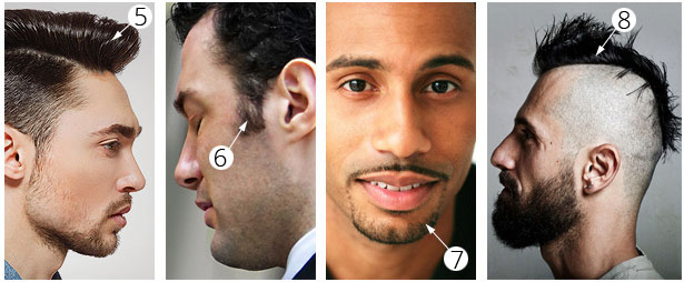 A photo of four men with different hair and facial hair. Number 5 is pointing to a quiff, a large wave on top of the head. Number 6 is of the hair between the ear and cheek. Number 7 is of short beard just on the chin. Number 8 is of a man with his head shaved on each side but with a strip of long hair on the top of his head. 