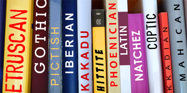 A image of books on a bookshelf. The names of different languages are on the spine of each book, for example, Iberian, Kakadu, Hittite, Phoenician and Latin.