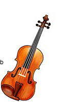 An illustration of a viola.