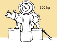 An illustration of an rhinoceros on scales. 300 kilos.