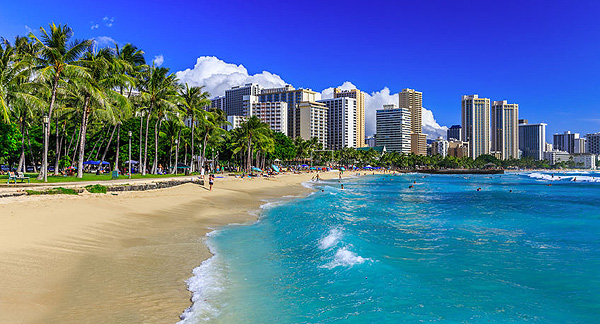A photo of a white sandy beach with palm trees and tall buildings along the coast.