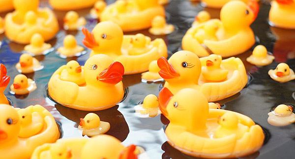 A photo of group of different-sized yellow rubber ducks floating on water. 