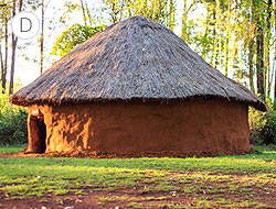 House E