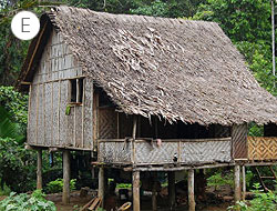 House D