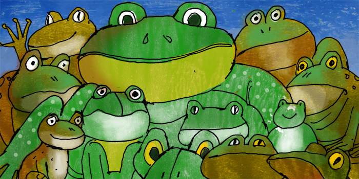 An illustration of a lot of different frogs, of different shapes and sizes. 