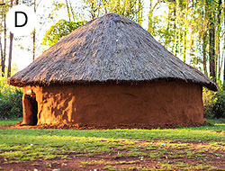 House E