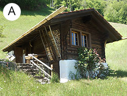 House A
